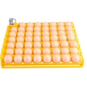 Bandeja de huevos para incubadoras 55 huevos