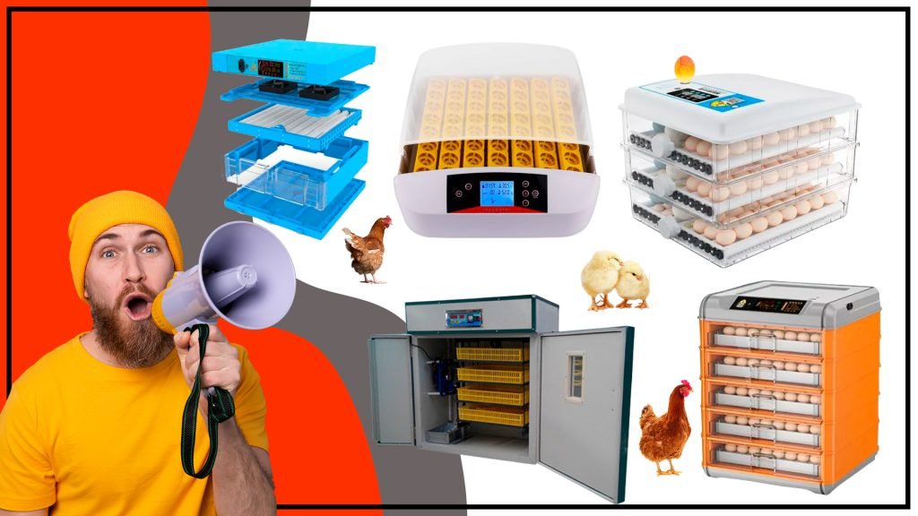 Los diferentes tipos de incubadoras de huevos y sus usos en Chile 1024x576 - Los diferentes tipos de incubadoras de huevos y sus usos en Chile