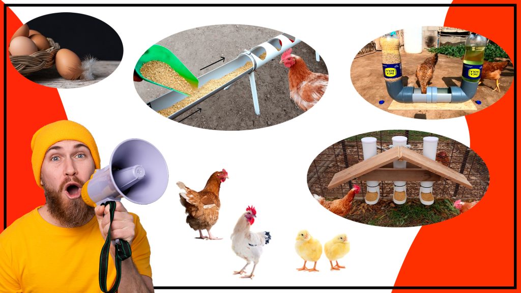 Comederos de PVC para aves ligeros y resistentes para un manejo facil 1024x576 - Comederos de PVC para aves: ligeros y resistentes para un manejo fácil