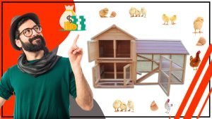 Como ahorrar dinero en la construccion de tu gallinero avicola q 300x169 - Cómo ahorrar dinero en la construcción de tu gallinero avícola