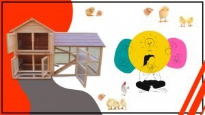 Disenos de jaulas avicolas Creatividad para un mejor desempeno 300x169 - Diseños de jaulas avícolas: Creatividad para un mejor desempeño