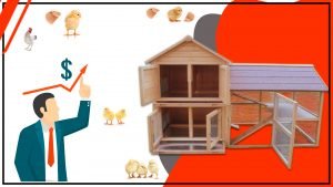 Jaulas avicolas y bienestar animal Como asegurar condiciones optimas 300x169 - Jaulas avícolas y bienestar animal: ¿Cómo asegurar condiciones óptimas?