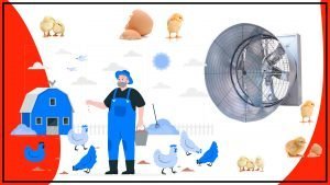 Los mejores sistemas de ventilacion para una crianza de aves exitosa 300x169 - Los mejores sistemas de ventilación para una crianza de aves exitosa