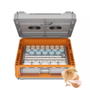 ezgif.com gif maker 25 300x300 - Incubadora Automática de 128 huevos